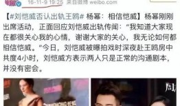 娱乐圈八卦爆料赵露丝