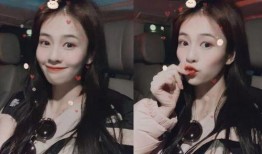 娱乐圈小黑爆料白鹿视频,娱乐圈小黑爆料背后的真相