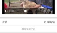 小程序爆料好笑视频,笑出腹肌！