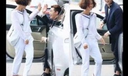 完美搭档在线观看,在线观看，揭秘神秘搭档的默契之旅