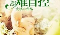 吃瓜甜饼小说免费阅读,揭秘小说世界中的甜蜜瓜果与奇幻饼谱