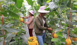 在景区吃瓜的网红是谁啊,瓜田李下谁主沉浮？