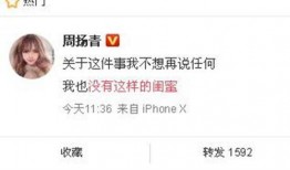 今年爆料新闻最新消息,揭秘年度十大惊人内幕事件