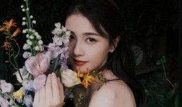 娱乐圈小黑爆料白鹿视频,娱乐圈小黑爆料背后的真相