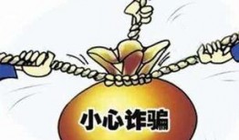 庞氏骗局爆料最新消息,揭秘连环诈骗背后的惊天阴谋