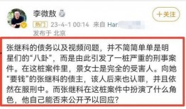 李微傲爆料视频在线观看,揭秘幕后真相，带你走进事件核心