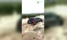 顺从在线观看,揭秘人性深处的服从与反抗