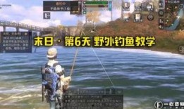 钓鱼爆料视频下载大全,揭秘钓鱼技巧与实战解析