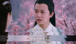 杨紫和任嘉伦最新爆料,甜蜜互动引期待，幕后故事揭秘