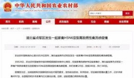 宜昌新闻爆料,突发事件引发关注，最新进展情况揭晓