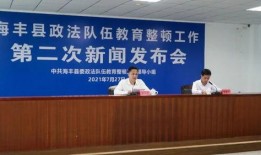 广东海丰爆料新闻事件,真相与影响深度解析