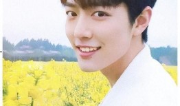 娱乐圈柚子君爆料肖战,娱乐圈柚子君独家爆料，揭秘明星背后的故事