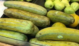 网红吃瓜旅游是真的吗还是假的,真伪难辨的网红现象