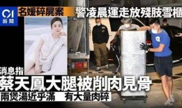 香港碎尸案爆料了吗视频,揭秘背后惊人真相，视频爆料引发社会关注