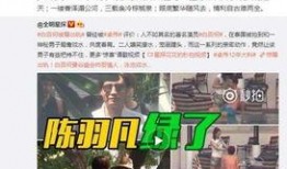 大龙爆料老婆出轨视频,视频证据震惊网友
