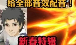 新春止水爆料采访视频播放