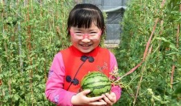 网红吃瓜旅游是真的吗还是假的,真伪难辨的网红现象