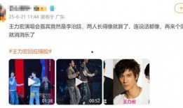 今日头条王力宏爆料,揭秘娱乐圈不为人知的秘密