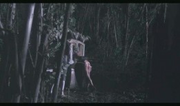 纵欲电影视频在线观看,一场视觉盛宴的在线观看之旅