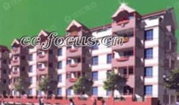 和平花园爆料视频,真实事件背后的惊人真相