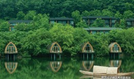 24年烁石公路车最新爆料,性能与设计双突破，引领骑行新潮流”