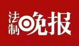 新华网爆料新闻,揭秘重大新闻事件背后真相