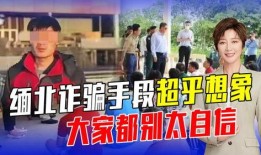 缅北高管爆料事件真相视频,事件真相视频深度解析