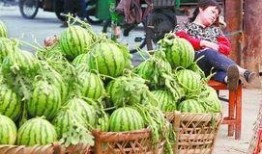 莱州吃瓜事件最新爆料,最新爆料揭秘惊人内幕