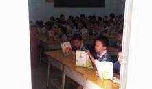 今日一线爆料电话深圳,今日一线揭秘电话背后的惊人真相