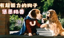 超狗任务国语在线观看,国语版在线观影指南