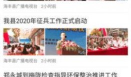 广东海丰爆料新闻事件,真相与影响深度解析