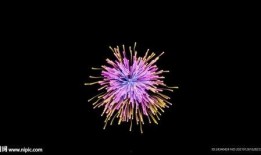 烟火官方爆料视频大全最新