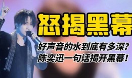 好声音参赛者爆料视频大全,幕后故事与精彩瞬间大盘点