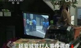 女子爆料城管视频