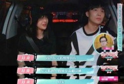 爱宠张表哥和娱乐吃瓜君,揭秘娱乐圈背后的温馨故事