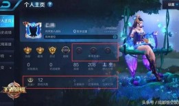 温柔王者爆料视频大全,视频爆料大全精彩回顾