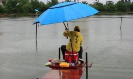 钓鱼爆料视频下载大全,揭秘钓鱼技巧与实战解析