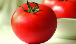 读心吃瓜番茄小说免费阅读,番茄小说免费阅读，揭秘内心世界