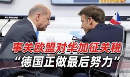 欧盟官员爆料视频大全,揭秘政坛内幕与争议瞬间