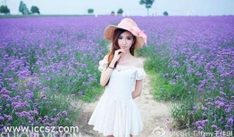 3d豪情高清在线观看,激情四溢的视觉盛宴，高清在线观影指南