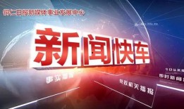 新闻快车爆料,揭秘重大事件背后真相