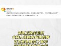 娱乐吃瓜开场白是什么,揭秘明星幕后故事，吃瓜群众必备指南