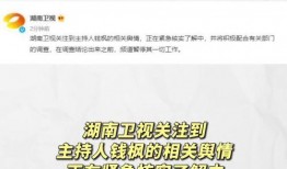 娱乐吃瓜开场白是什么,揭秘明星幕后故事，吃瓜群众必备指南