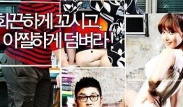 完美搭档在线观看,在线观看，揭秘神秘搭档的默契之旅