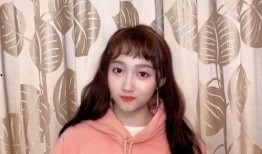 娱乐圈小黑爆料白鹿视频,娱乐圈小黑爆料背后的真相