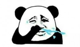 小马户外被爆料视频造假,真相与争议