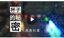 爆料影视解说视频,爆料背后的故事