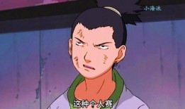 鹿丸死二代爆料视频大全,揭秘神秘家族背后的惊人真相