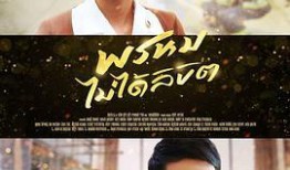 命中不注定国语在线观看,命运交织的浪漫邂逅