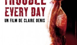 烦夜烦在线观看,一场心灵之旅的启示